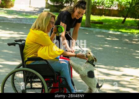 Eine Frau, die neben einer anderen Frau mit einem Koffer einen Rollstuhl benutzt, pet einen Hund auf einem unfokussiereten Hintergrund. Behinderung und Lifestyle-Konzept. Stockfoto