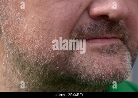 Graues Haar Vollbart Nahaufnahme mit Nase und Lippen des Mannes Stockfoto