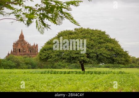 Bagan ist eine alte Stadt und ein UNESCO-Weltkulturerbe in der Mandalay Region von Myanmar. Stockfoto