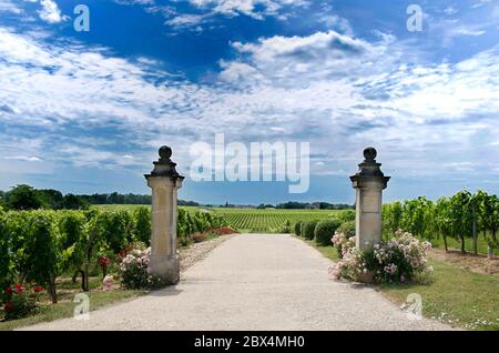 Chateau Destieux,Weingut Saint Emilion, Gironde, Nouvelle-Aquitaine, Frankreich Stockfoto