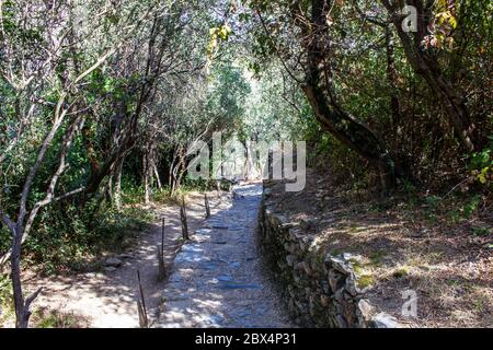 Blick auf den Wanderweg von Corniglia nach Vernazza, Cinque Terre, Italien Stockfoto