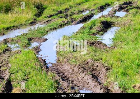 Bauernhof Traktor Radspuren voller Wasser Stockfoto