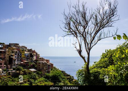 Corniglia, Italien - 8. Juli 2017: Blick auf Corniglia Häuser an einem sonnigen Tag Stockfoto