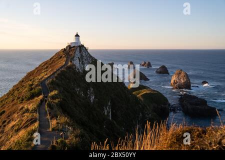 Ein Teil von Nugget Point ist eine der schönsten Landformen entlang der Küste von Otago in Neuseeland mit einem Leuchtturm und einer Streuung von felsigen Inseln. Stockfoto