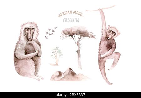 Aquarell Sammlung von verschiedenen Affen auf weißem Hintergrund isoliert. Wilde Tiere Afrikas. Stockfoto
