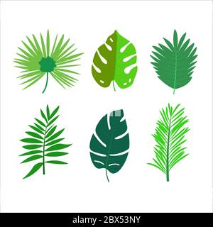 Set von 6 einfachen flachen tropischen Blättern isoliert auf weißem Hintergrund. Design-Element für Broschüre, Poster, Karte, Web, Anzeige und Verkauf Stock Vektor