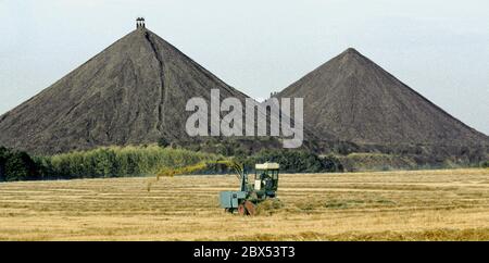 DDR / Wirtschaft / Thüringen / 1990 Uran-Überladestumps bei Ronneburg. Das Foto wurde Anfang 1990 aufgenommen, während noch Uran abgebaut wurde. // Umwelt / Boden / Uranhalden / Bergbau / Strahlung / Vertrauen die deutsch-sowjetische Aktiengesellschaft wurde nach der Gründung der DDR gegründet, um der Sowjetunion den Zugang zu Uran im Erzgebirge zu ermöglichen. Von 1946 bis 1990 wurden mehr als 200,000 Tonnen Uranerz abgebaut. Als 1990 der Uranabbau eingestellt wurde, mussten riesige Flächen von Überlastschutt und Schlamm gereinigt werden, die rund 8 Milliarden Euro kosten werden. Alt Stockfoto