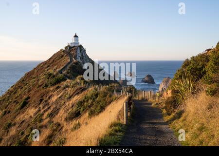 Ein Teil von Nugget Point ist eine der schönsten Landformen entlang der Küste von Otago in Neuseeland mit einem Leuchtturm und einer Streuung von felsigen Inseln. Stockfoto