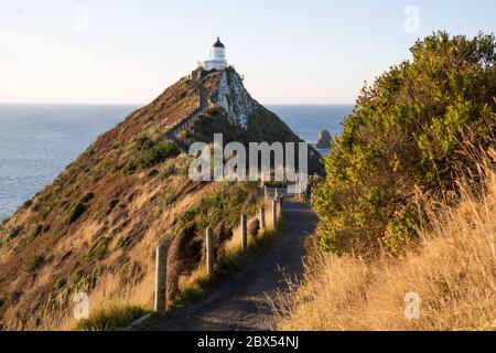 Ein Teil von Nugget Point ist eine der schönsten Landformen entlang der Küste von Otago in Neuseeland mit einem Leuchtturm und einer Streuung von felsigen Inseln. Stockfoto