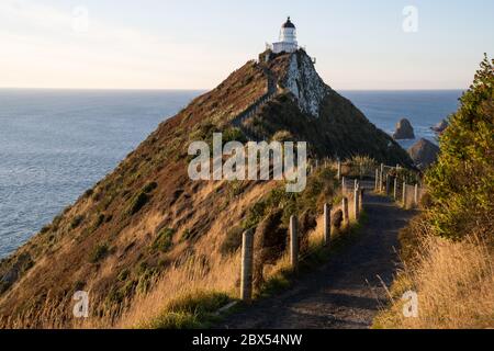 Ein Teil von Nugget Point ist eine der schönsten Landformen entlang der Küste von Otago in Neuseeland mit einem Leuchtturm und einer Streuung von felsigen Inseln. Stockfoto