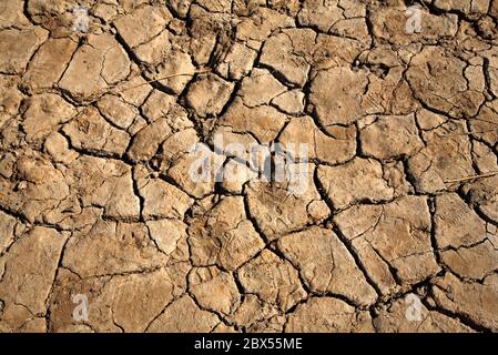 Ein gesprungener, ausgetrockneter Fußweg zu Salzsümpfen während einer Dürreperiode in North Norfolk in Blakeney, Norfolk, England, Großbritannien, Europa. Stockfoto