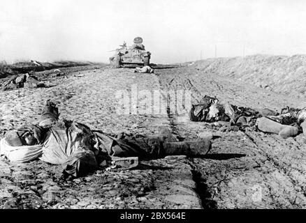 Die Leichen sowjetischer Soldaten liegen auf einer unbefestigten Straße. Im Hintergrund befindet sich ein Panzer, der von einem deutschen Panzerabwehrkanone zerstört wurde. Während der Einkreisungsschlacht von Kholm verteidigte die Kampfgruppe Scherer die Stadt erfolgreich für 105 Tage. (Foto des Kriegsberichterstatters Richard Muck, der Anfang März in die Tasche flog). Stockfoto