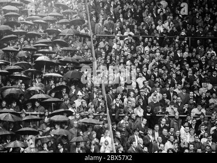 Kulisse der Zuschauer bei Regenwetter im Boekelbergstadion, Bundesliga, Saison 1970/1971, Borussia Mönchengladbach gegen 1 FC Köln 1:1. Stockfoto