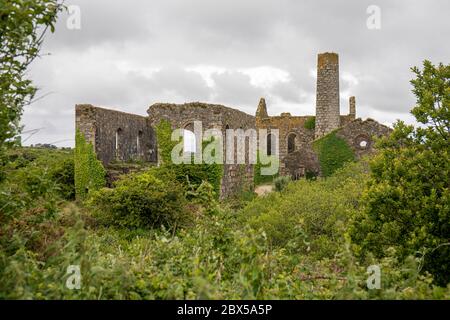 South Wheal Frances, Zinn- und Kupferminengebäude, Great Flat Lode. Carnkie, Cornwall. Fotografiert vom öffentlichen Brautweg. Stockfoto