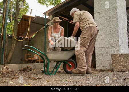 Ältere Rentnerpaar in den 60ern - 70ern in zwanglosen Cltohes arbeiten im Garten Stockfoto