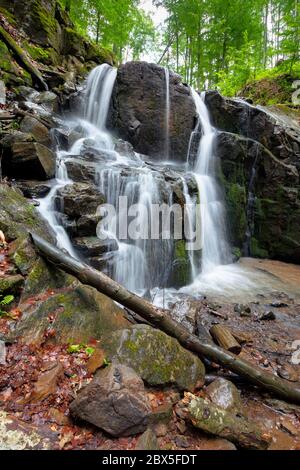 Felsen in Wasserfall-Bach. Schöne Naturlandschaft im Wald. Kaskade von schnellen Berg-Fluss. Üppig grüne Laub. Moosige Felsbrocken Stockfoto