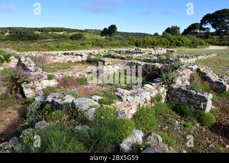 Ruinen von Celto-ligurischen Oppidum oder befestigte gallische Dorf bekannt als Camp Marius zeigt Umrisse von Steinhäusern auf Ventabren Plateau Provence Frankreich Stockfoto