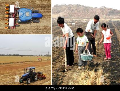 (200605) -- ZHENGZHOU, 5. Juni 2020 (Xinhua) -- Combo-Foto zeigt einen unbemannten Traktor mit Beidou-Navigationssystem, der im Dorf Anzhong der Stadt Xiaoyangying in der Stadt Dengzhou, der Provinz Henan in Zentralchina, Samen sät (links, oben und unten, Luftaufnahmen aufgenommen am 26. Mai 2020 von Feng Dapeng), Und Bauern säen Samen, während der Boden nass ist, nachdem sie das Land mit einer Bewässerungsanlage bewässert haben (rechts, Datei Foto veröffentlicht am 11. Juni 2001, aufgenommen von Wang Song). Seit der Gründung der Volksrepublik China, der LEV Stockfoto