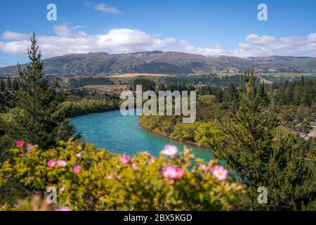 Shotover River, Queenstown, Neuseeland Stockfoto