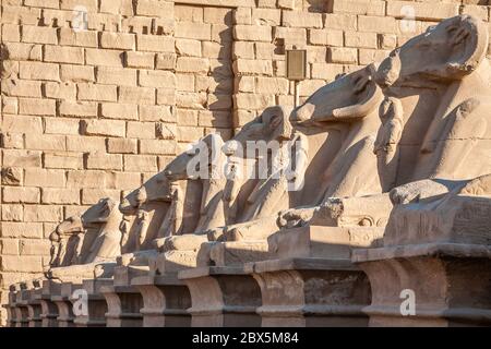 RAM-headed Sphinxes in Karnak Temple Complex, Luxor, Ägypten Stockfoto