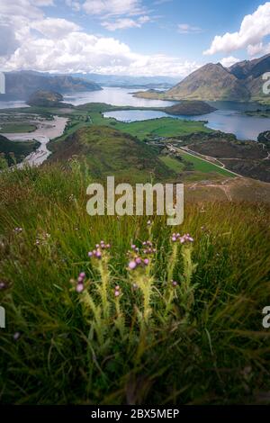 Die dunkle Oberfläche des Diamond Lake in Wanaka, Neuseeland Stockfoto