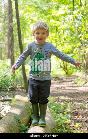 Dreijähriger Junge spielt in Chawton Park Woods, Medstead, Alton, Hampshire, England, Vereinigtes Königreich. Stockfoto