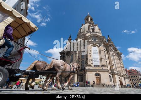 Dresden, Deutschland. Juni 2020. Vor der Frauenkirche fährt ein Pferdewagen den Neumarkt entlang. Quelle: Robert Michael/dpa-Zentralbild/dpa/Alamy Live News Stockfoto