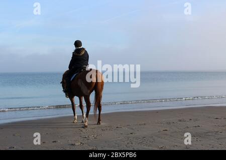 Einsamer Reiter auf dem Pferd mit Blick auf das Meer am Strand von Scharbeutz am Morgen. Stockfoto