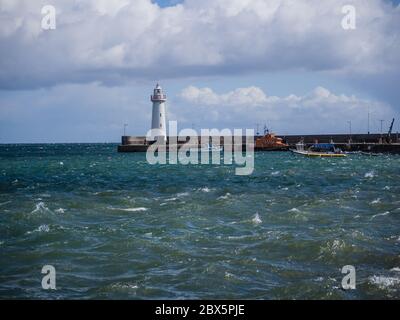 Donaghadee Hafen während Covid 19 Sperrung Stockfoto