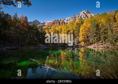 Grüner See (Lac Vert) im engen Tal (Vallee Etroite) im Herbst. Die intensive grüne Farbe ist auf das Vorhandensein von Algaes zurückzuführen. Europäische Alpen Stockfoto