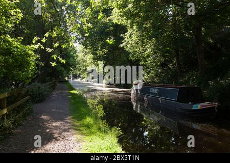 Am späten Nachmittag auf dem Rochdale Canal, Sowerby Bridge, West Yorkshire Stockfoto