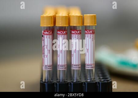 Die für Blutproben zu verwendenden Reagenzgläser sitzen auf einem Tisch bei einem Coronavirus-Antikörpertestprogramm im Hollymore Ambulance Hub des West Midlands Ambulance Service in Birmingham. Stockfoto