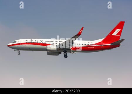 Shanghai, China 28. September 2019: Shanghai Airlines Boeing 737-800 Flugzeug am Shanghai Hongqiao Airport SHA in China. Boeing ist ein amerikanischer Aircraf Stockfoto
