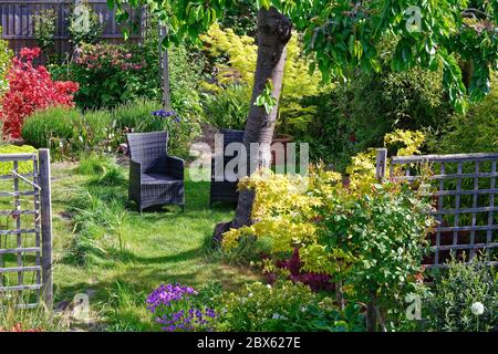 Ein sehr üppiger und farbenfroher Vorstadtgarten im Frühmorgen Sommer Sonnenlicht gefangen, Shepperton Surrey UK Stockfoto