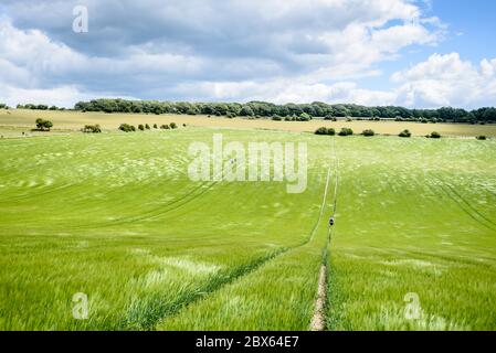 Brighton, East Sussex, UK 5. Juni 2020 Wanderer sozialer Abstand in einem Weideland an einem sonnigen, aber luftigen Tag in der Landschaft vor Brighton. Foto ©Julia Claxton Stockfoto