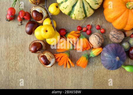 Herbsthintergrund mit Kürbissen, Früchten und Nüssen auf Holzstruktur Stockfoto