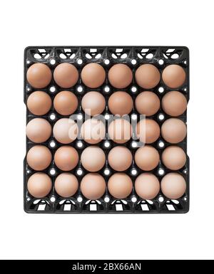 Draufsicht Eier in Packung schwarz Kunststoff, isoliert auf weißem Hintergrund. Mit Clipping-Pfad. Stockfoto