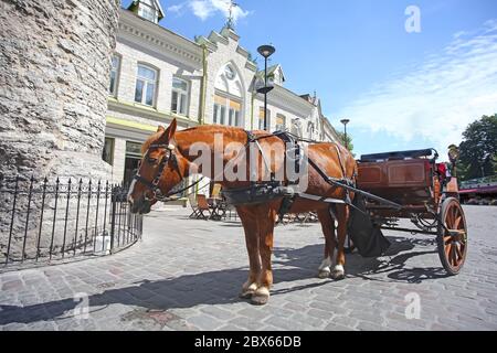 Pferd & Wagen neben den Stadttoren der Altstadt, in der historischen mittelalterlichen Innenstadt der Stadt, Tallinn, Estland. Stockfoto