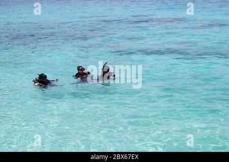 KRABI, THAILAND - 24. APRIL 2016 : Tauchunterricht im Meer für die Touristen im vorderen Bereich der Phi Phi Insel. Stockfoto