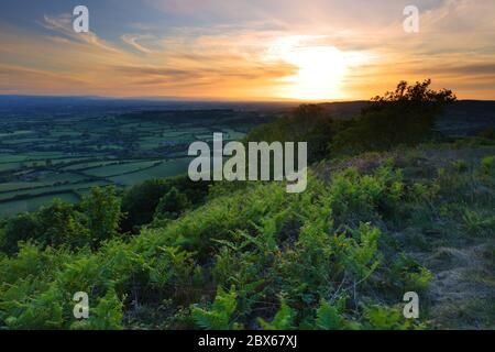 Blick auf einen Sonnenuntergang über den North Yorkshire Moors von Sutton Bank, England, Großbritannien Stockfoto