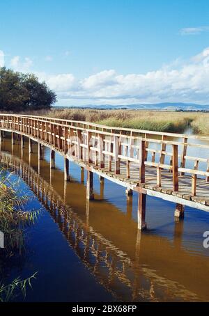 Fußgängerbrücke. Tablas de Daimiel National Park in der Provinz Ciudad Real, Castilla La Mancha, Spanien Stockfoto