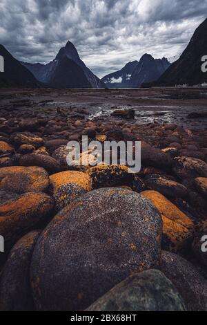 Milford Sound, South Island, Neuseeland Stockfoto