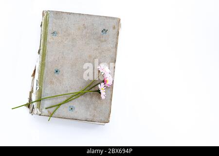 Altes Buch auf weißem Hintergrund. Blumenstrauß aus Gänseblümchen. Draufsicht, für Text platzieren. Stockfoto