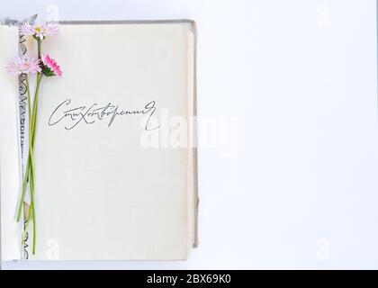 Öffnen Sie das alte Buch der Gedichte. Blumenstrauß aus Gänseblümchen. Ansicht von oben. Auf weißem Hintergrund. Für Text platzieren. Stockfoto