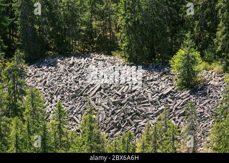 Basaltiksäulen, die im Wald, bei Detunata, von oben gesehen, in Siebenbürgen, Rumänien, geschreddert wurden Stockfoto