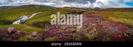 Panoramablick über die wunderschöne bunte isländische Landschaft mit Faxi Wasserfall, altem Moos und Flechten, Tundra Blumen und Wiesenfeldern bei Snaefel Stockfoto