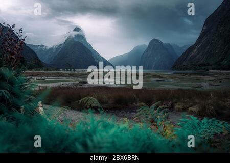 Milford Sound, South Island, Neuseeland Stockfoto