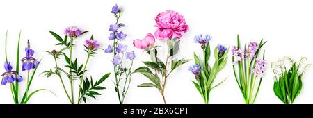 Blauballen, Pfingstrose, campanula, Iris, Kornblume und Lilie der Talblütensammlung. Garten Frühling Blumen kreative Komposition isoliert auf weiß b Stockfoto