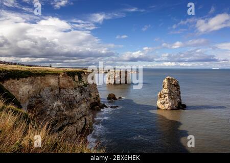 Marsden Klippen und Felsen (Landschaft)Leas, South Shields Stockfoto