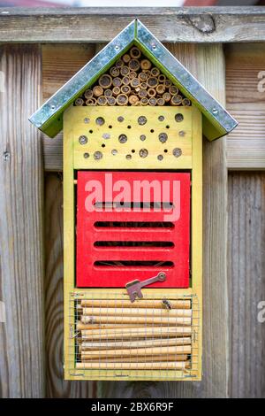 Ein kleines ökologisches Insektenhotel mit einer wilden Biene am Boden, auf einem Zaun montiert. Natur- und insektenfreundliches Hotel. Wilde Bienen und andere Insekten machen Stockfoto